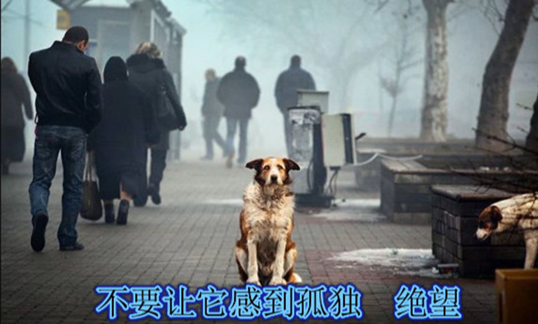 上饶上饶爱影圈微博微信转发案例